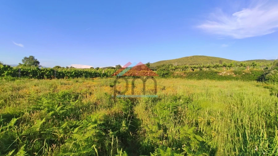Terreno Agricola ou Rústico para Venda em Sago, Lordelo e Parada