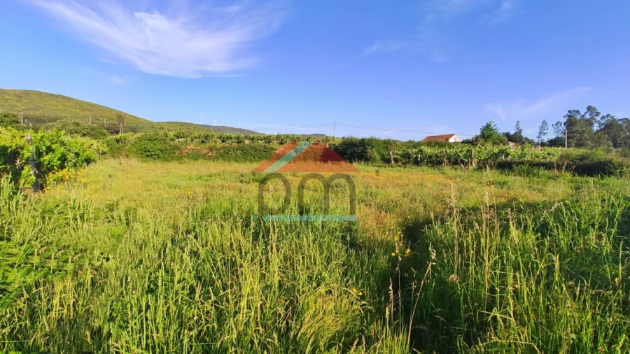 Terreno Agricola ou Rústico para Venda em Sago, Lordelo e Parada Foto 2
