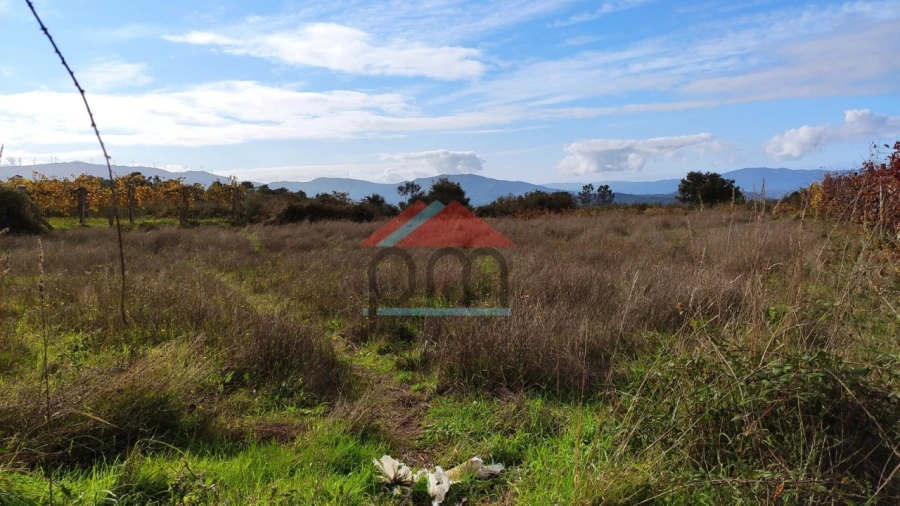 Terreno Agricola ou Rústico para Venda em Sago, Lordelo e Parada Foto 4