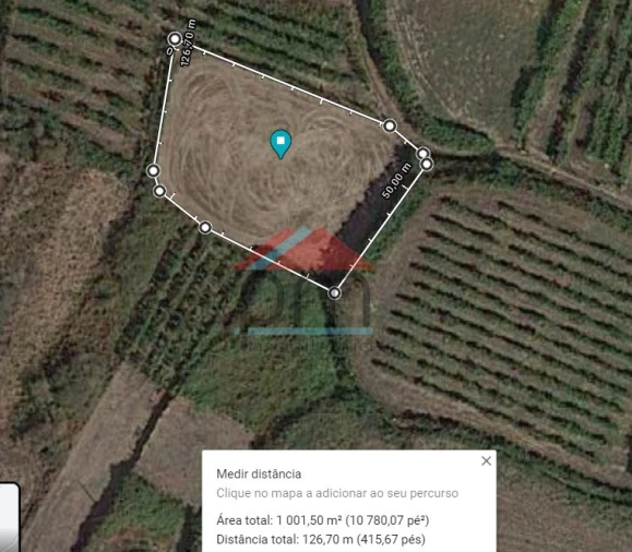 Terreno Agricola ou Rústico para Venda em Sago, Lordelo e Parada Foto 6