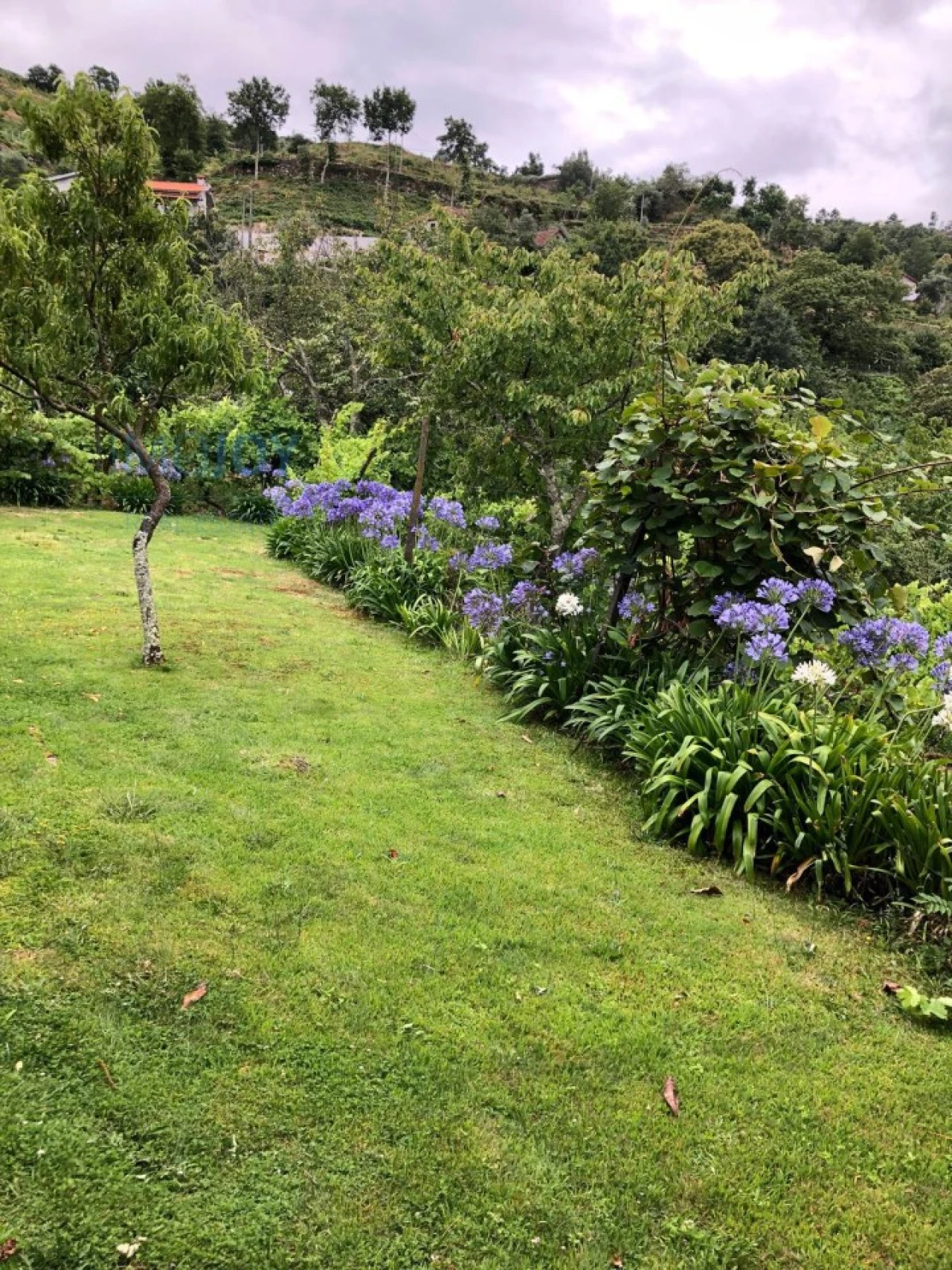 Quinta T3 para Venda em Oliveira do Douro Foto 51