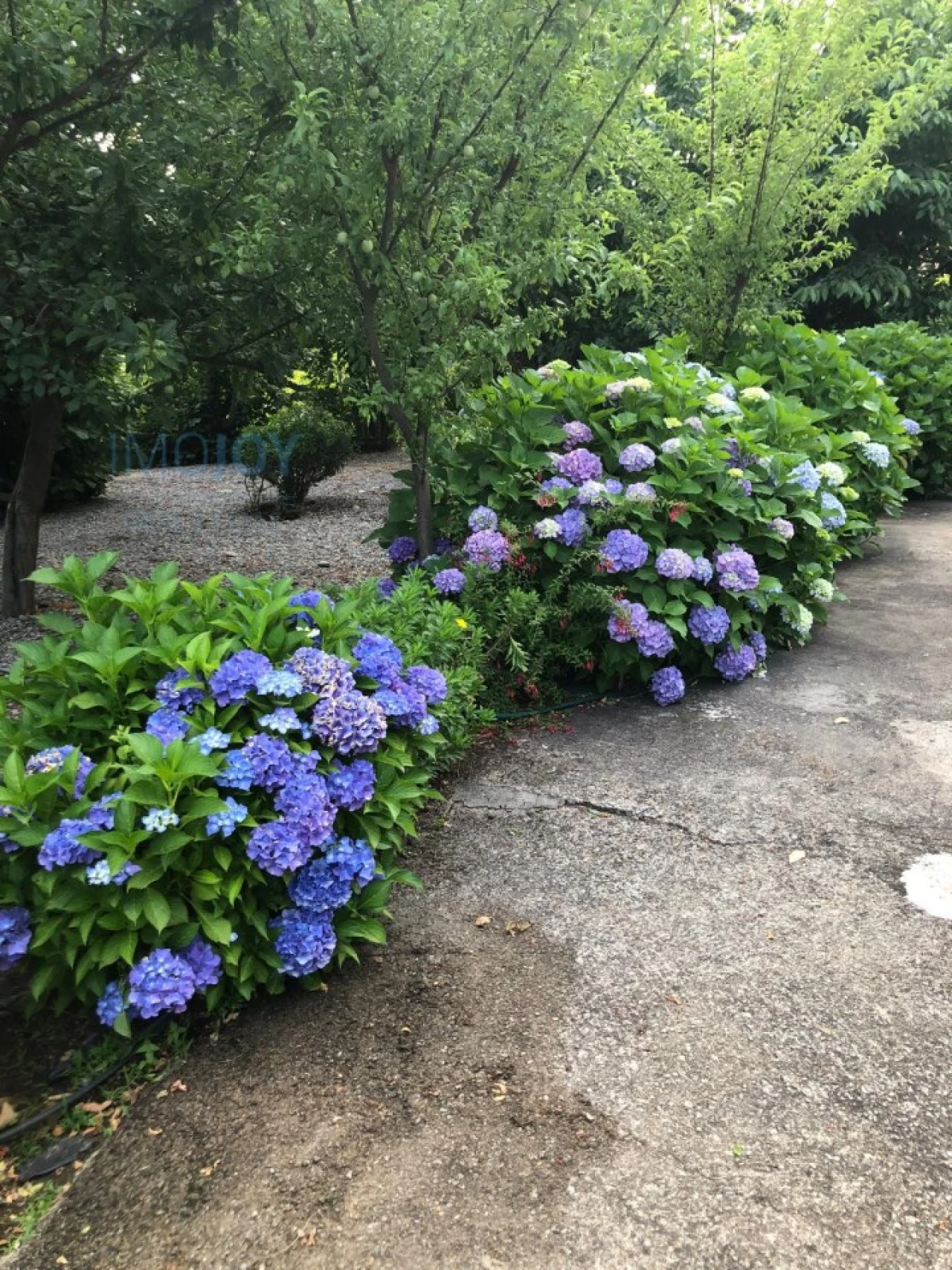 Quinta T3 para Venda em Oliveira do Douro Foto 54