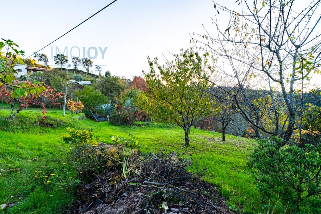 Quinta T3 para Venda em Oliveira do Douro Foto 26