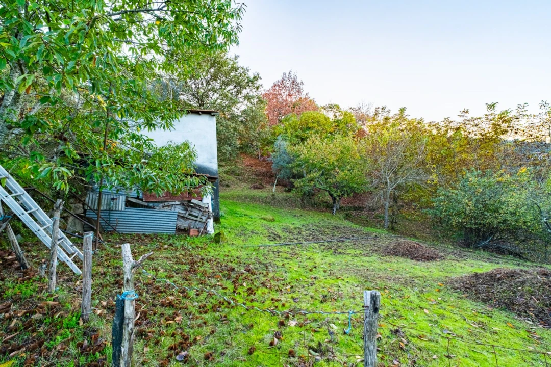 Quinta T3 para Venda em Oliveira do Douro Foto 28