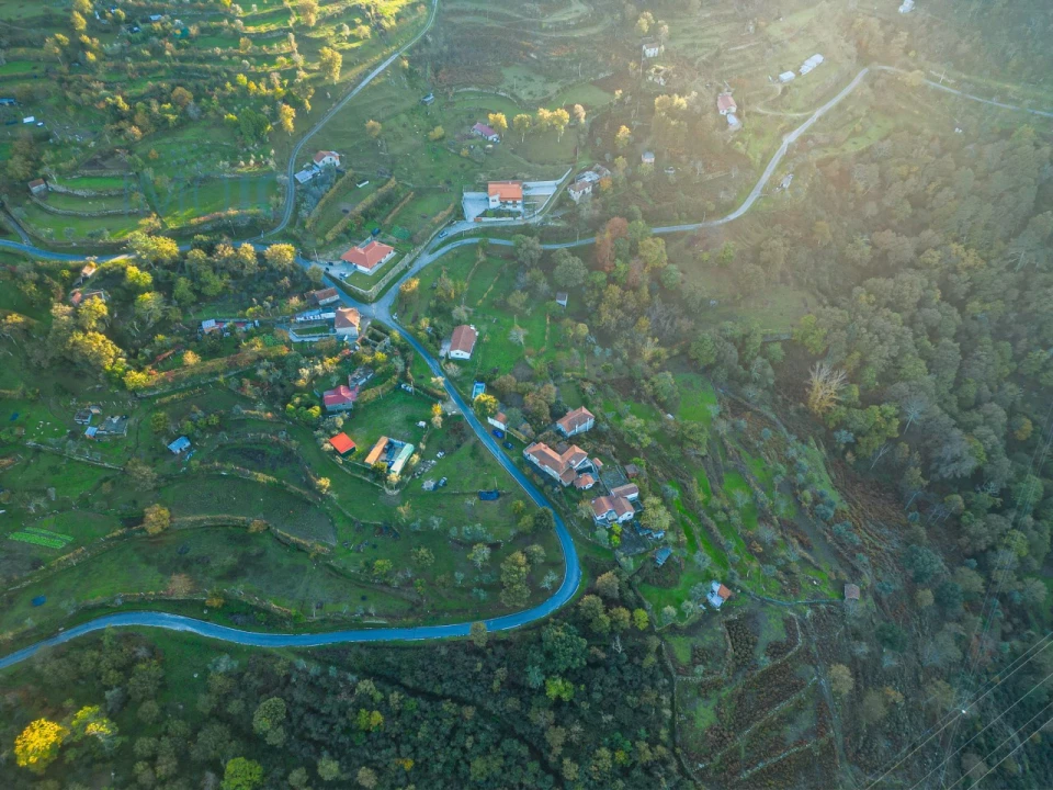 Quinta T3 para Venda em Oliveira do Douro Foto 37