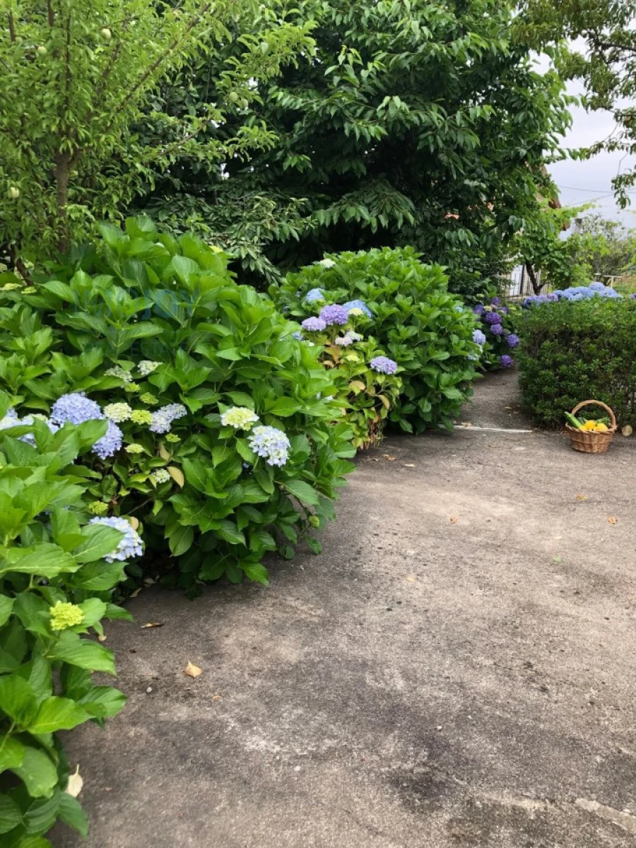 Quinta T3 para Venda em Oliveira do Douro Foto 53