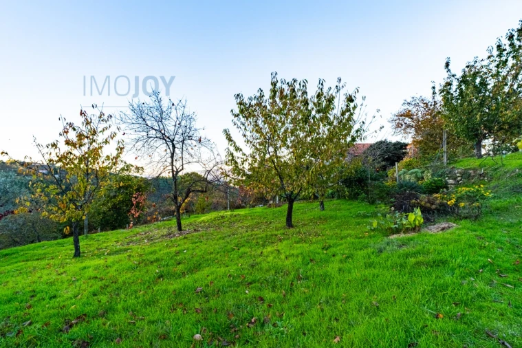 Quinta T3 para Venda em Oliveira do Douro Foto 33