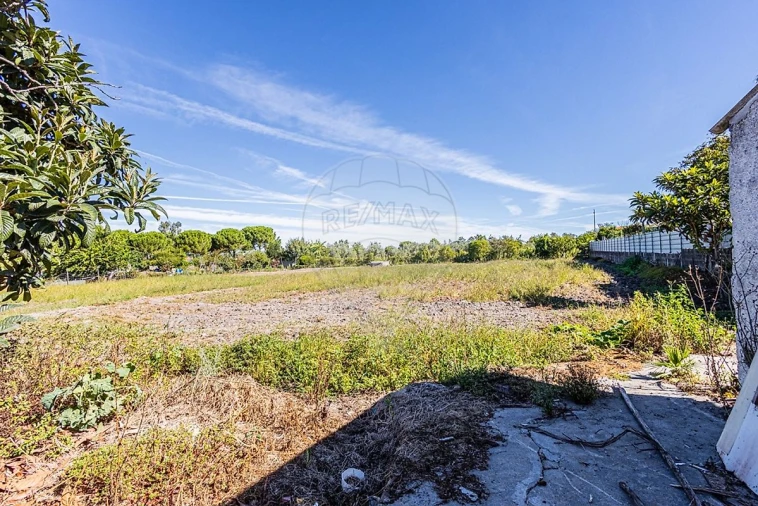 Moradia T2 para Venda em Marinhais Foto 47