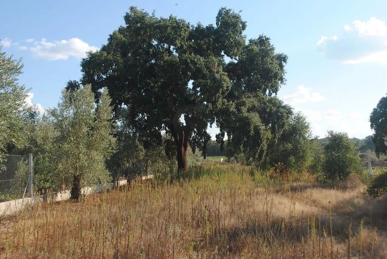 Moradia T2 para Venda em Fazendas de Almeirim Foto 13