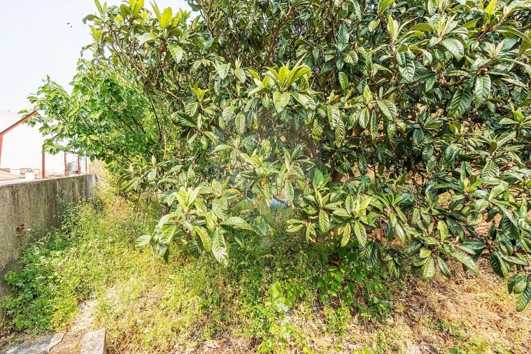 Prédio para Venda em Agualva e Mira-Sintra Foto 22