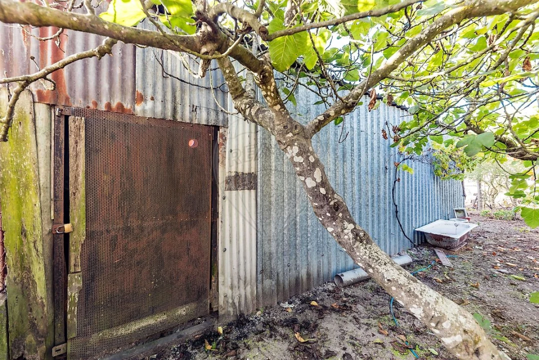 Terreno para Venda em Fernao Ferro Foto 25