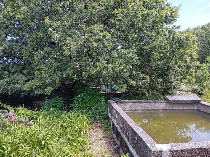 Moradia T7 para Venda em Souto Santa Maria, Souto São Salvador e Gondomar Foto 32