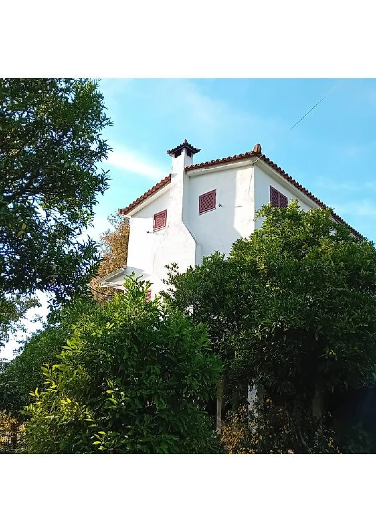 Moradia T7 para Venda em Souto Santa Maria, Souto São Salvador e Gondomar Foto 5