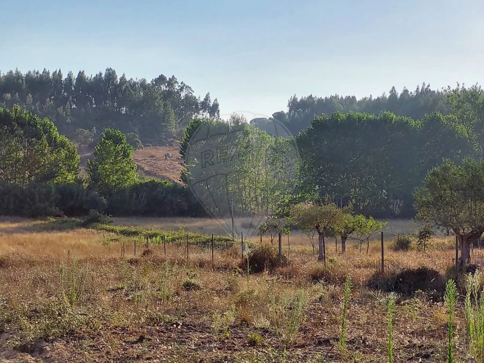 Terreno para Venda em Fraguas Foto 2