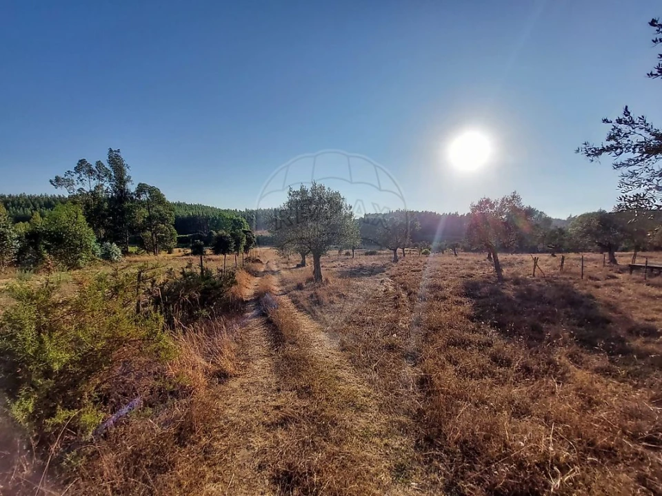Terreno para Venda em Fraguas Foto 12