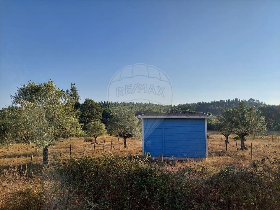 Terreno para Venda em Fraguas Foto 7