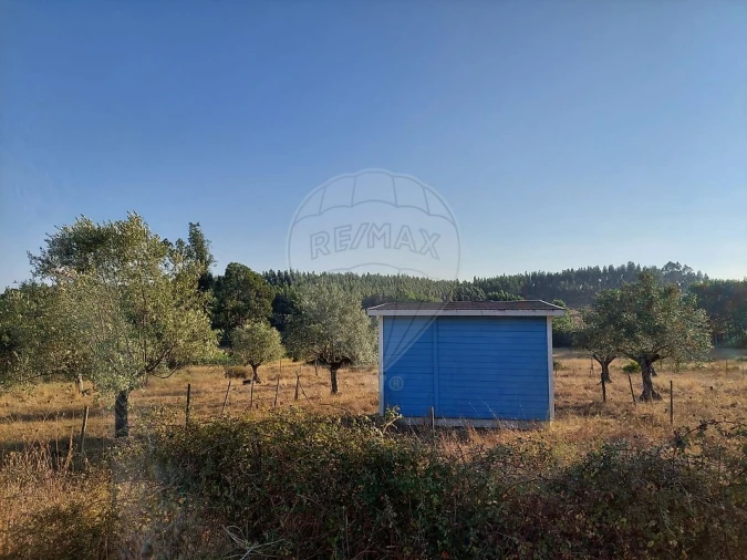 Terreno para Venda em Fraguas Foto 7