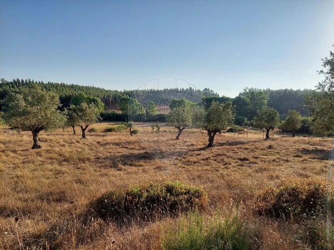 Terreno para Venda em Fraguas