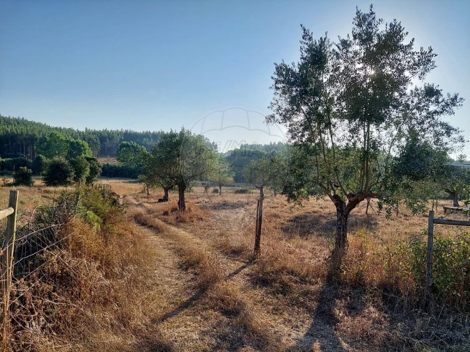Terreno para Venda em Fraguas Foto 3