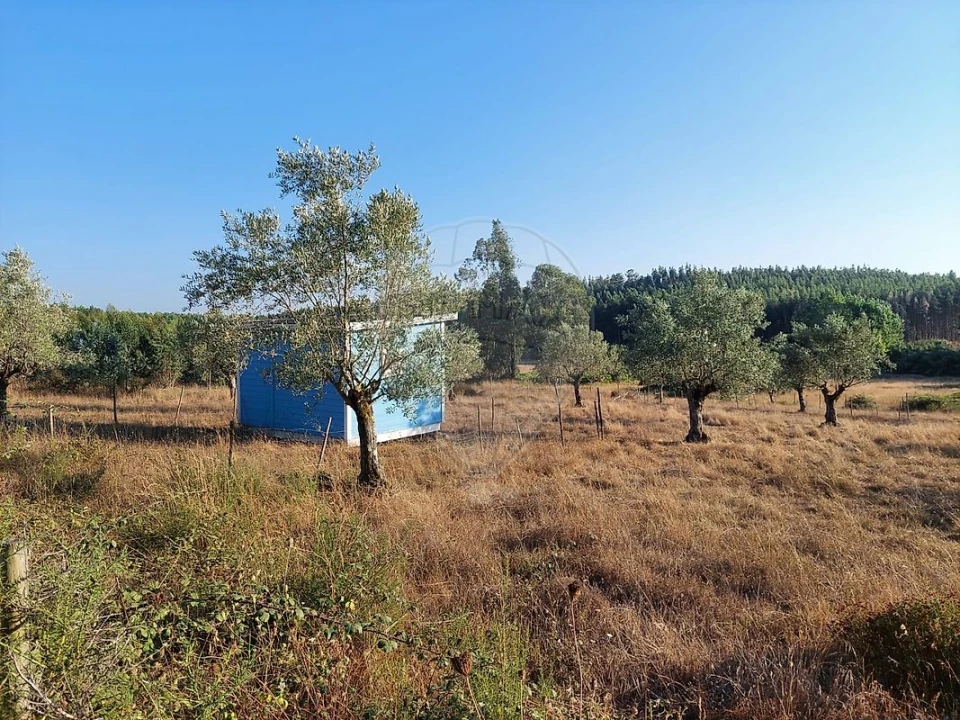 Terreno para Venda em Fraguas Foto 8