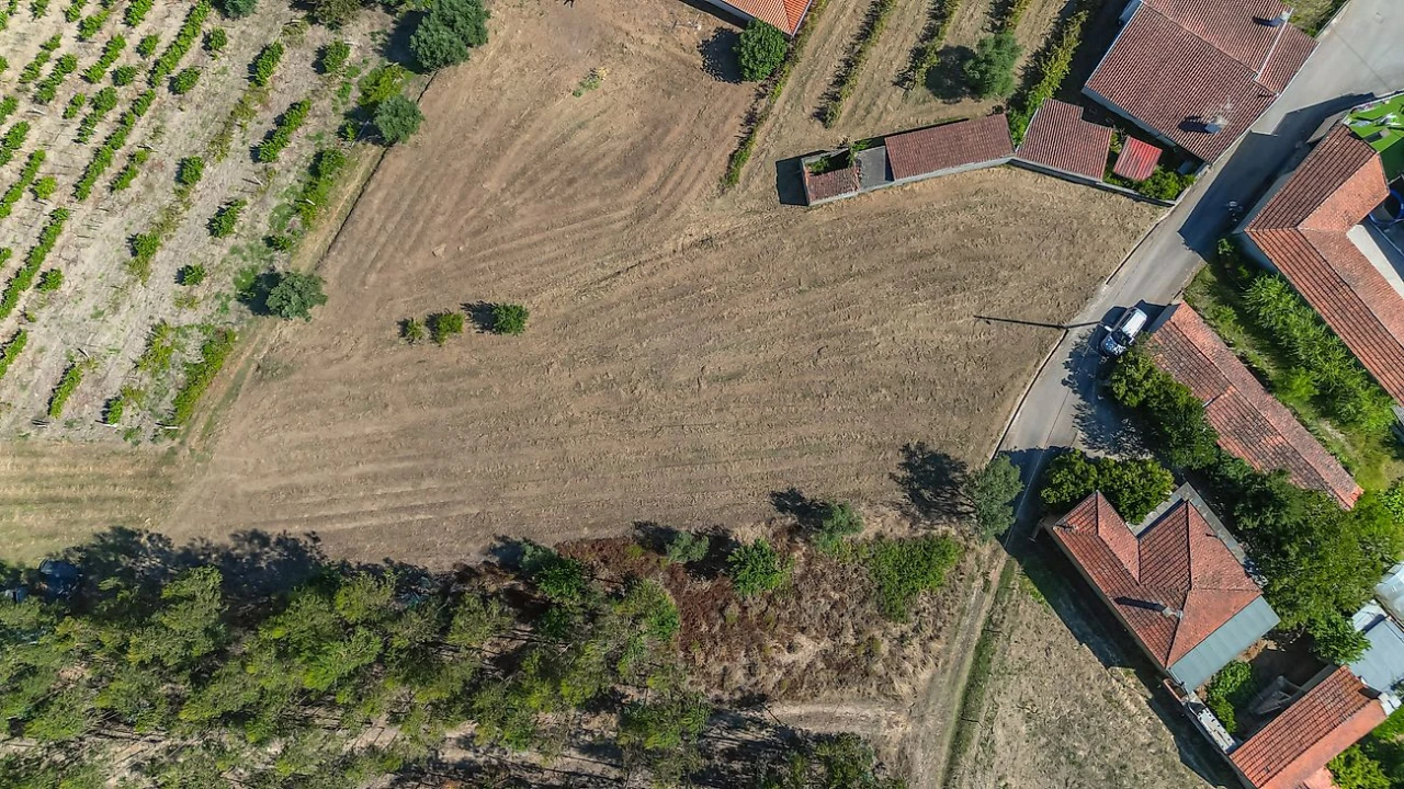 Terreno para Venda em Mortágua, Vale de Remígio, Cortegaça e Almaça Foto 4