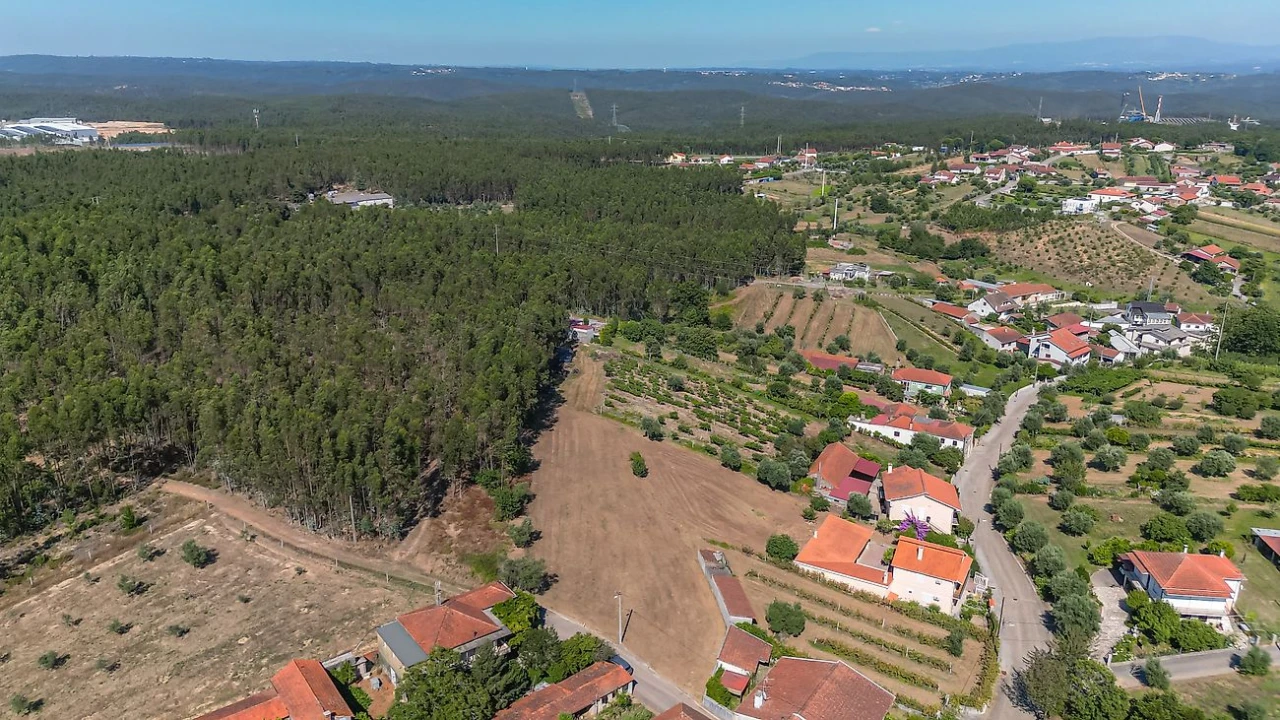 Terreno para Venda em Mortágua, Vale de Remígio, Cortegaça e Almaça Foto 10