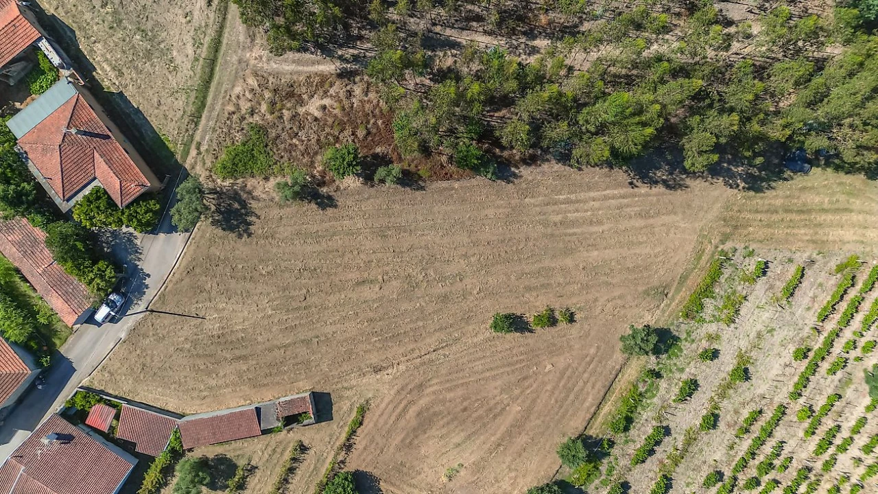 Terreno para Venda em Mortágua, Vale de Remígio, Cortegaça e Almaça Foto 2