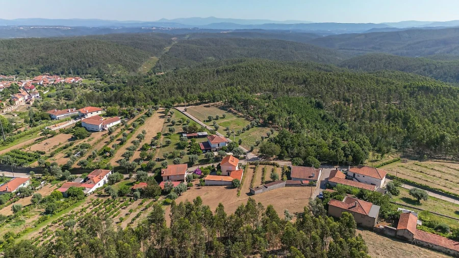 Terreno para Venda em Mortágua, Vale de Remígio, Cortegaça e Almaça Foto 7