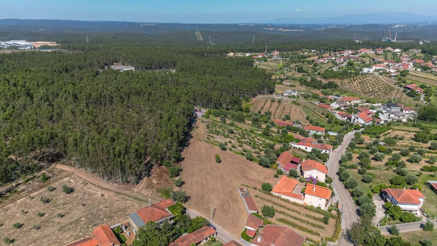 Terreno para Venda em Mortágua, Vale de Remígio, Cortegaça e Almaça Foto 10