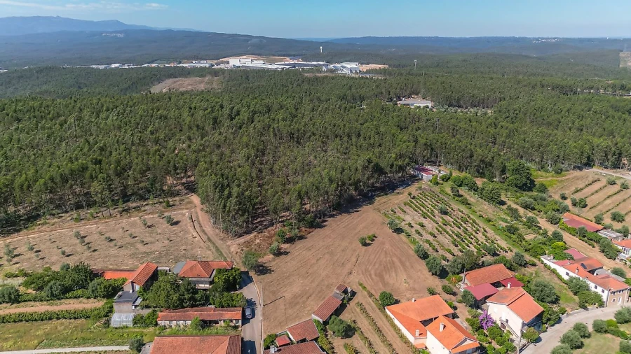 Terreno para Venda em Mortágua, Vale de Remígio, Cortegaça e Almaça Foto 6
