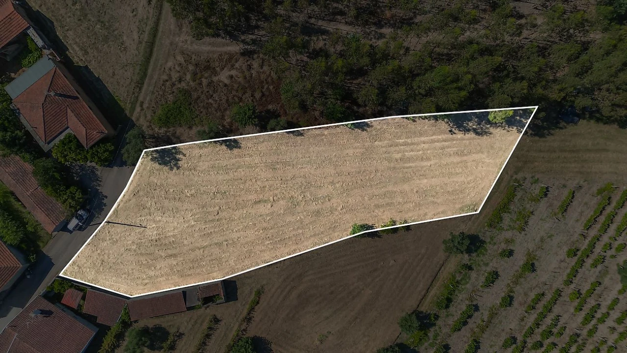 Terreno para Venda em Mortágua, Vale de Remígio, Cortegaça e Almaça Foto 3
