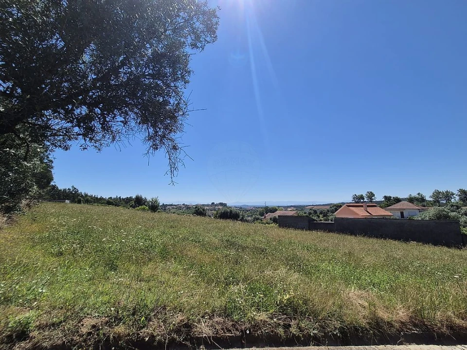 Terreno para Venda em Mortágua, Vale de Remígio, Cortegaça e Almaça Foto 1