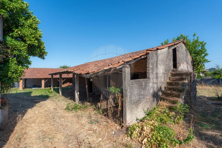 Moradia T4 para Venda em Pala Foto 22