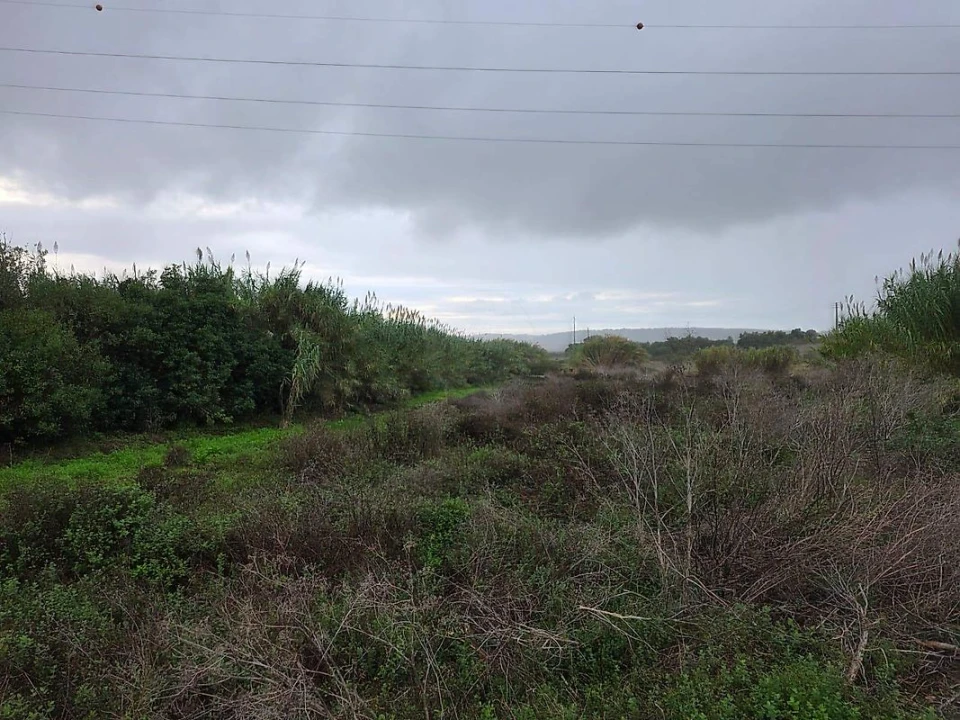 Terreno para Venda em Almargem do Bispo, Pêro Pinheiro e Montelavar Foto 9