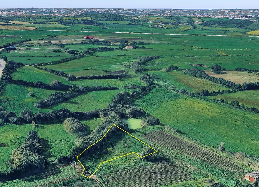 Terreno para Venda em Almargem do Bispo, Pêro Pinheiro e Montelavar Foto 1