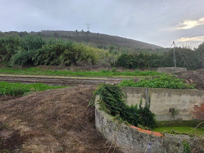 Terreno para Venda em Almargem do Bispo, Pêro Pinheiro e Montelavar Foto 6