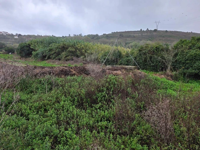 Terreno para Venda em Almargem do Bispo, Pêro Pinheiro e Montelavar Foto 8