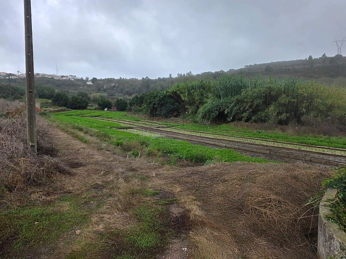 Terreno para Venda em Almargem do Bispo, Pêro Pinheiro e Montelavar Foto 9