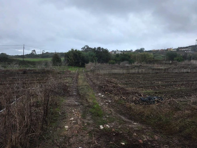 Terreno para Venda em Almargem do Bispo, Pêro Pinheiro e Montelavar Foto 5