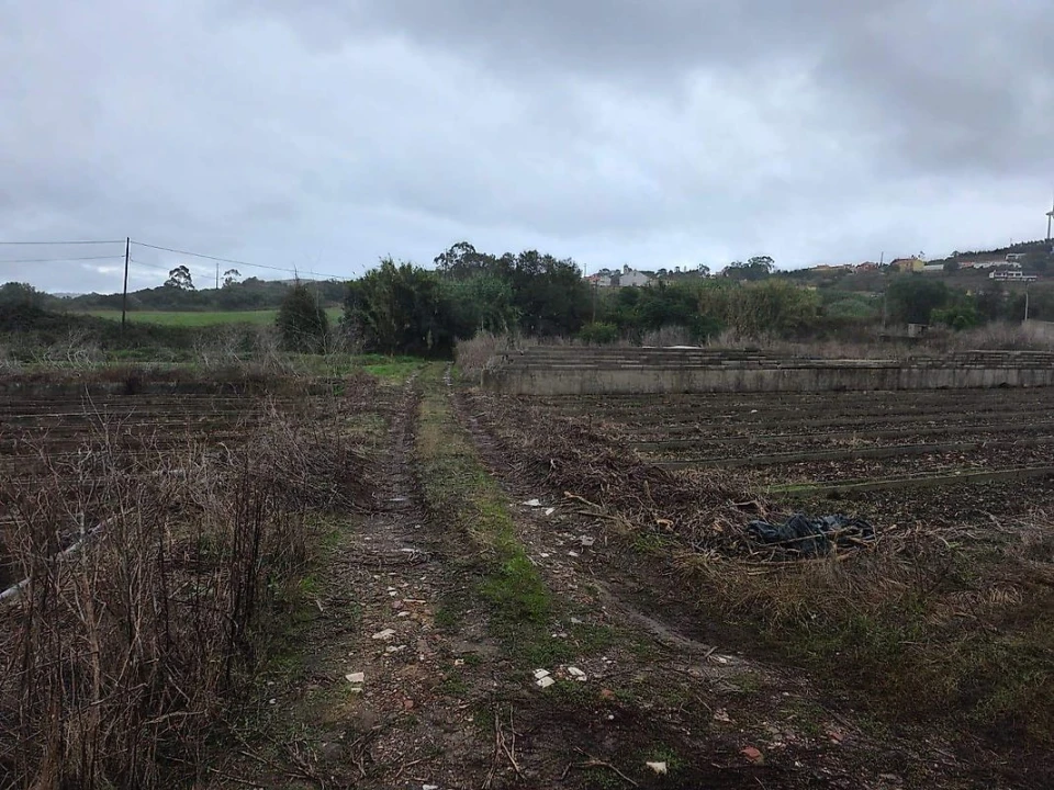 Terreno para Venda em Almargem do Bispo, Pêro Pinheiro e Montelavar Foto 10