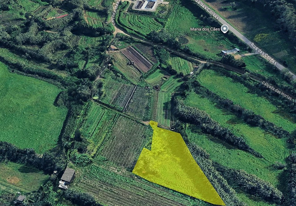 Terreno para Venda em Almargem do Bispo, Pêro Pinheiro e Montelavar Foto 2