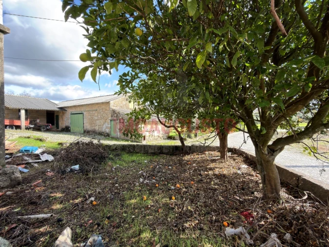 Moradia T3 para Venda em Tourais e Lajes Foto 5