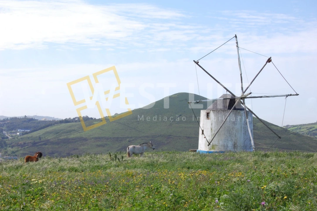 Armazém para Venda em Igreja Nova e Cheleiros Foto 16