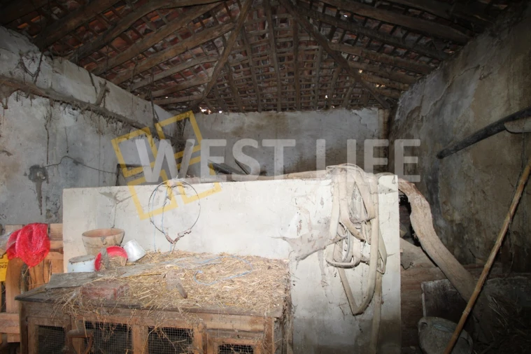 Armazém para Venda em Igreja Nova e Cheleiros Foto 12