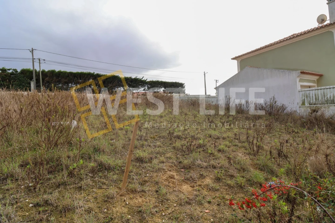 Terreno para Venda em Encarnação Foto 8