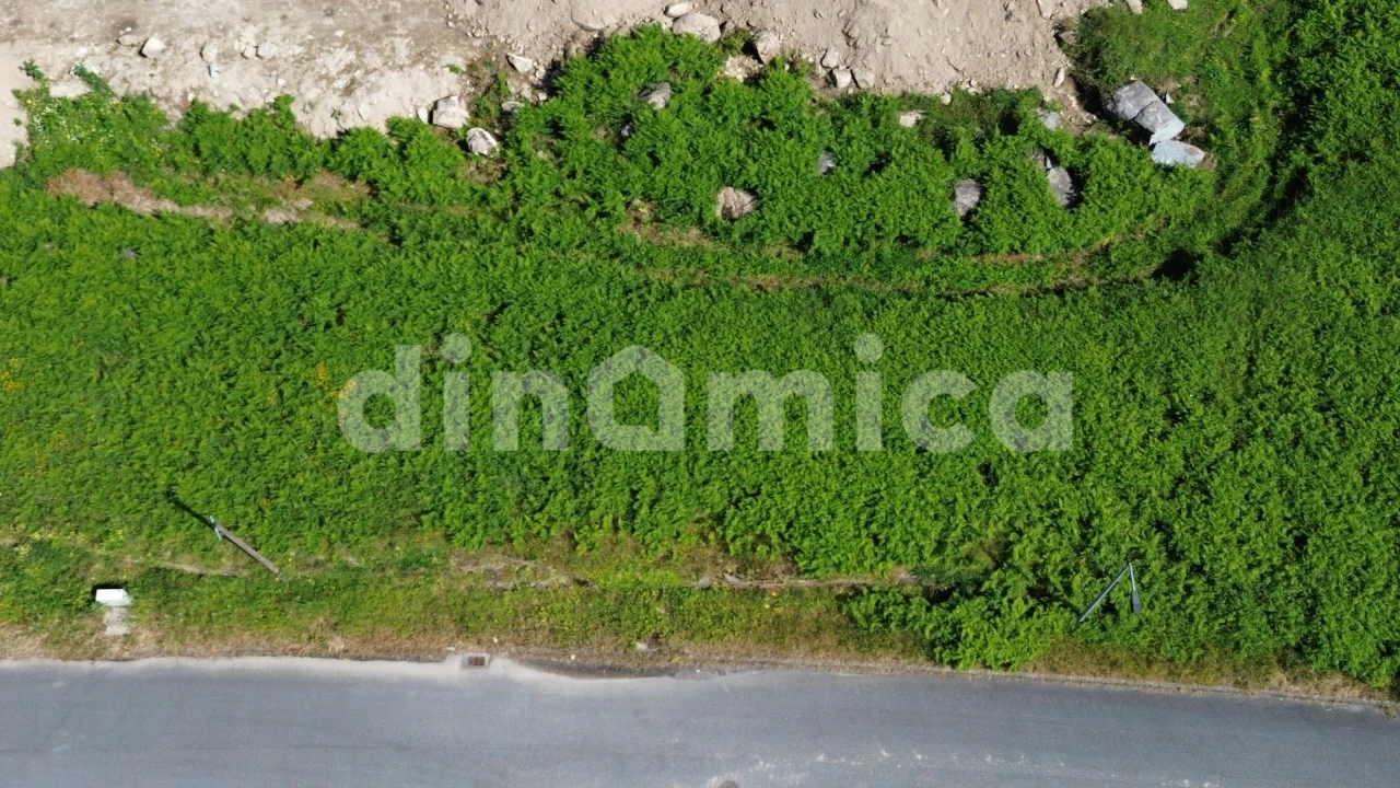 Terreno para Venda em Ruivães e Novais Foto 3