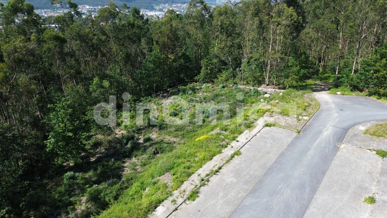 Terreno para Venda em Ruivães e Novais Foto 2
