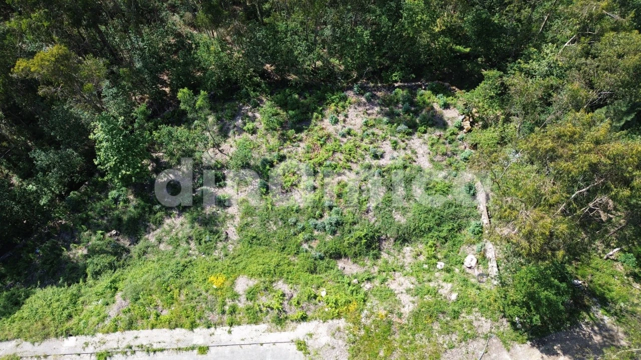 Terreno para Venda em Ruivães e Novais Foto 4