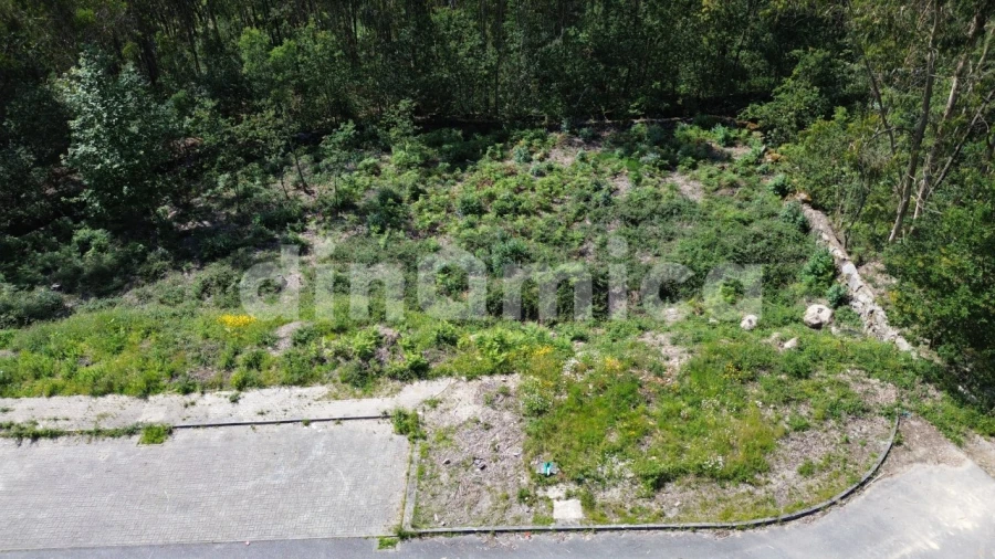 Terreno para Venda em Ruivães e Novais