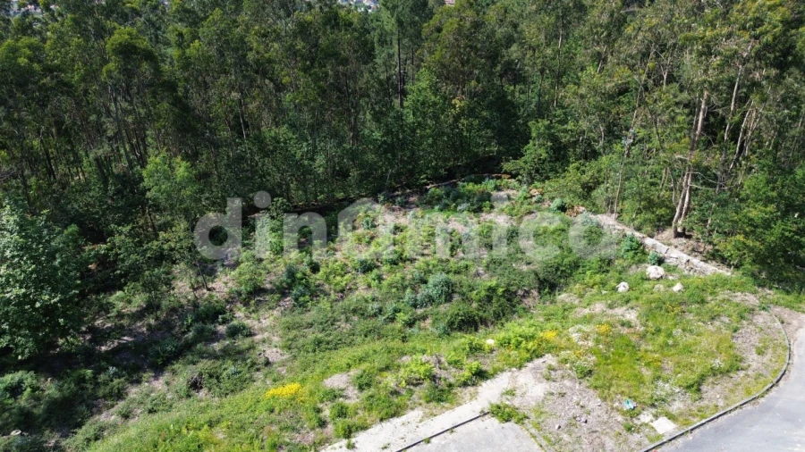 Terreno para Venda em Ruivães e Novais Foto 3